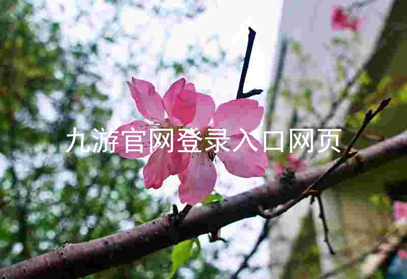 九游官网登录入口网页